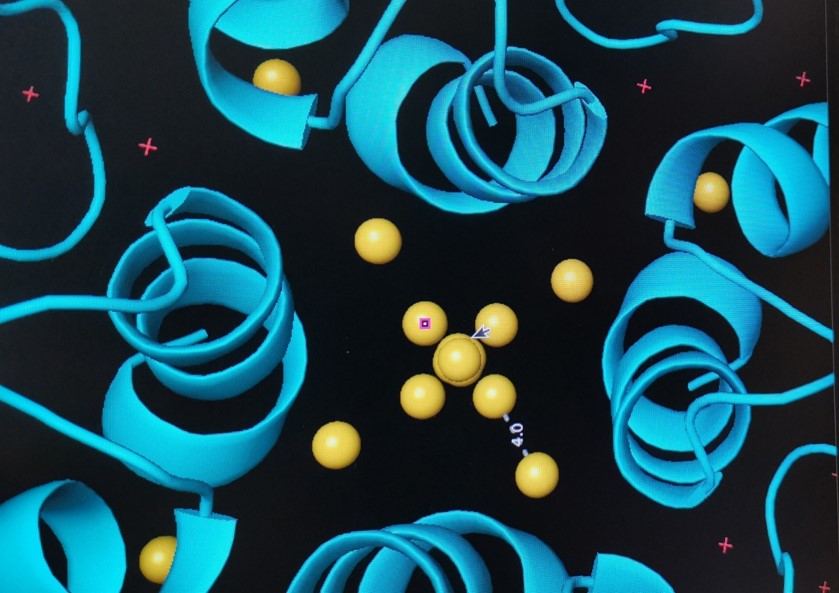 Gold cluster forming at 4-fold channel in ferritin molecule